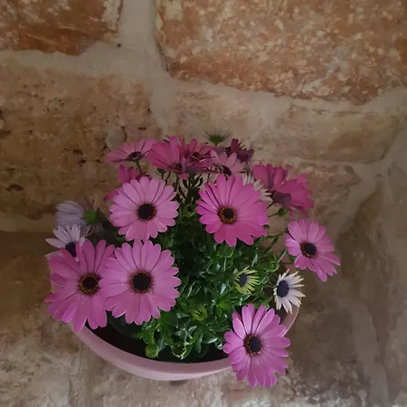 Apartman Dimore Cieli Di Dante