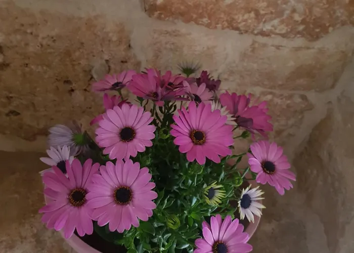 Appartement Dimore Cieli Di Dante